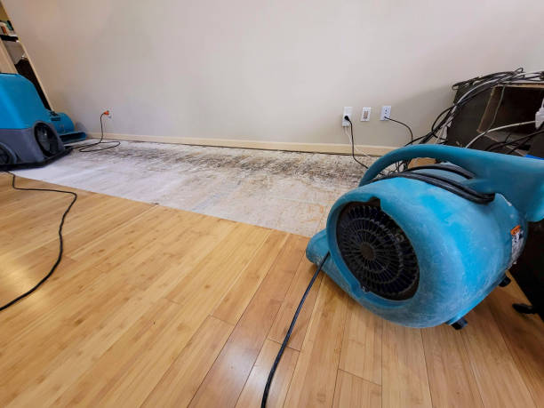 Reliable Basement Flood Cleanup contractor in Beulah, MI by Hirex Water Damage