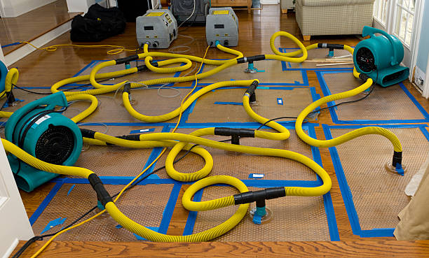 Professional Basement Flood Cleanup technician working in Beulah, MI